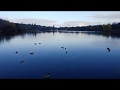Max Eyth See lake - Dji mavic mini shots @ 2.7K