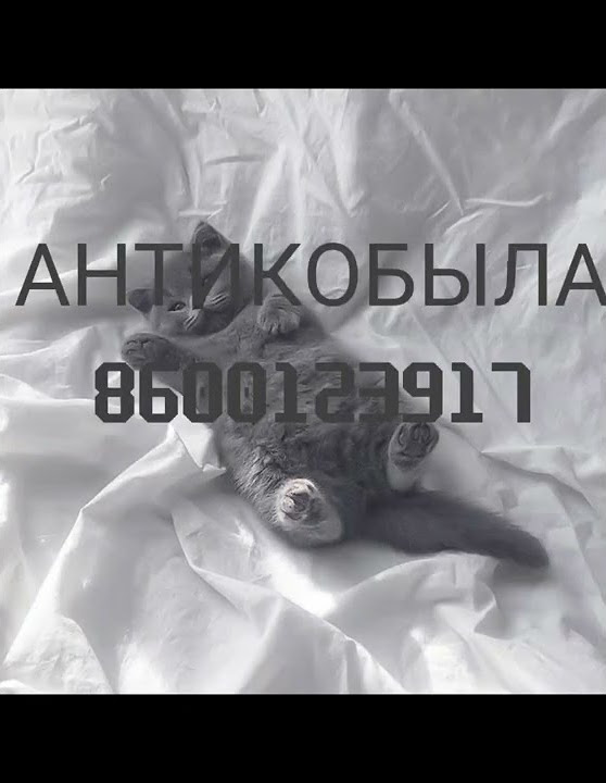 Коды на музыку в роблокс! /Антикобыла/песни в роблокс которые ищут ...