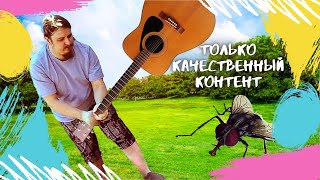 🎵 Поём качественные песни 🎸 под гитару 🔆 без мата ✅ Живой и качественный звук, акустическая гитара 🎧