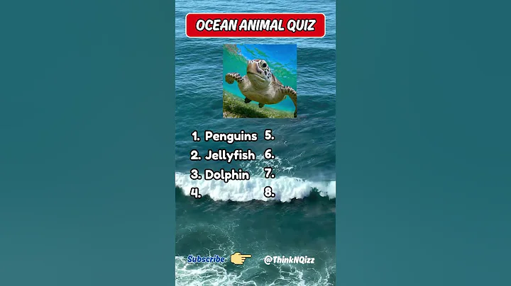 Can You Name These Ocean Animals in 60 Seconds?