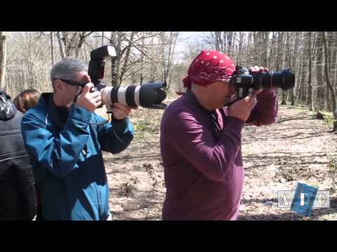 მასტერკლასი პლენერზე (მამკოდას ტყე)