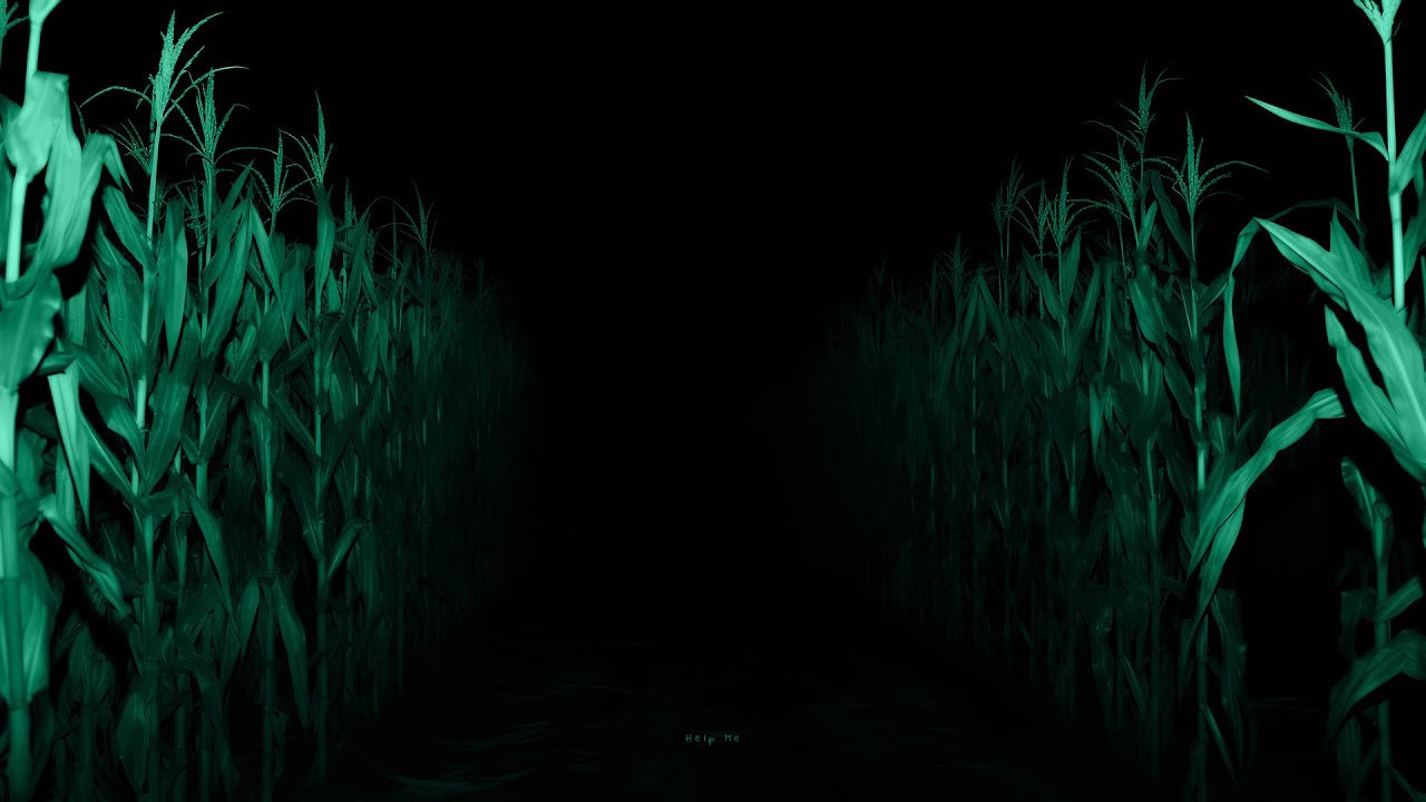 ＴＲＵＳＴ　ＭＥ,　ＹＯＵ'ＲＥ　ＳＡＦＥ　ＨＥＲＥ