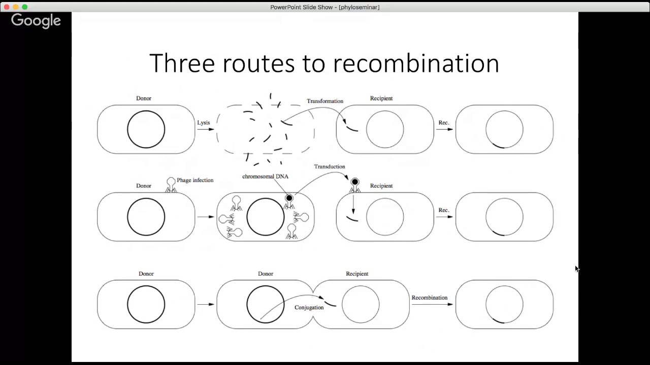 Phyloseminar #64: Xavier Didelot (Imperial College London)