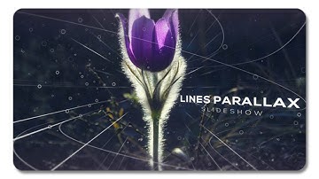 Lines Parallax Slideshow 19209185 | After Effects Template