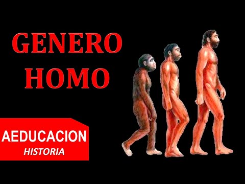 GENERO HOMO: HABILIS, ERECTUS y SAPIENS - AEDUCACION