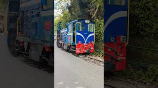 toy trine Darjeeling 2 #travel #shortsfeed #shortsvideo #toytrain