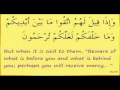 Surah yaseen  sheikh maher almuaiqly