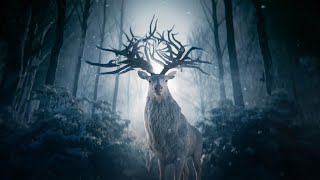 Shadow and Bone(Music from Netflix Original) - Ask the Saints