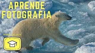📷  Aprende FOTOGRAFÍA  👉 👉👉  FOTOGRAFIA en 2 MINUTOS con KIKE CALVO 🎓  TUTORIAL