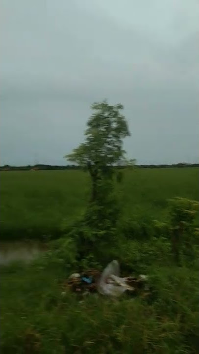 udara sejuk di pagi hari 06:00