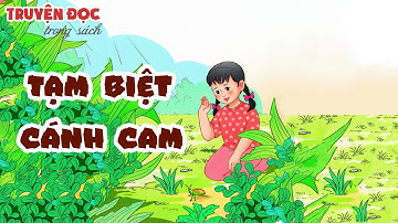 Tạm biệt cánh cam | Tiếng Việt 2, tập 2 | Kết nối tri thức với cuộc sống