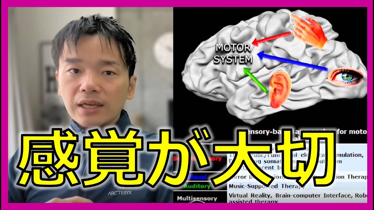 【エビデンス】脳卒中後の運動機能回復には感覚の回復が大切！ 視覚/聴覚/体性感覚/前庭感覚のリハビリテーション