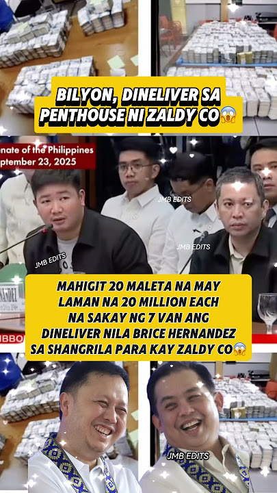Zaldy Co Bilyon ang natanggap😱#zaldyco #floodcontrol #floodcontrolprojects #dpwh