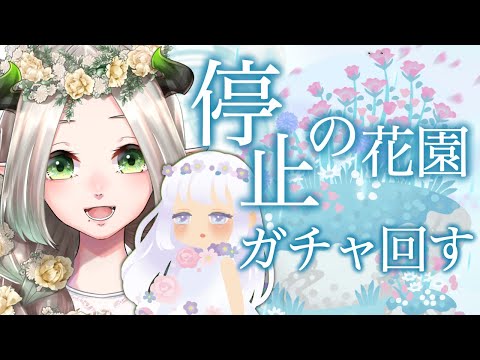 停止の花園ガチャ回す【#LivlyIsland/#リヴリーアイランド/#ライザ陛下】