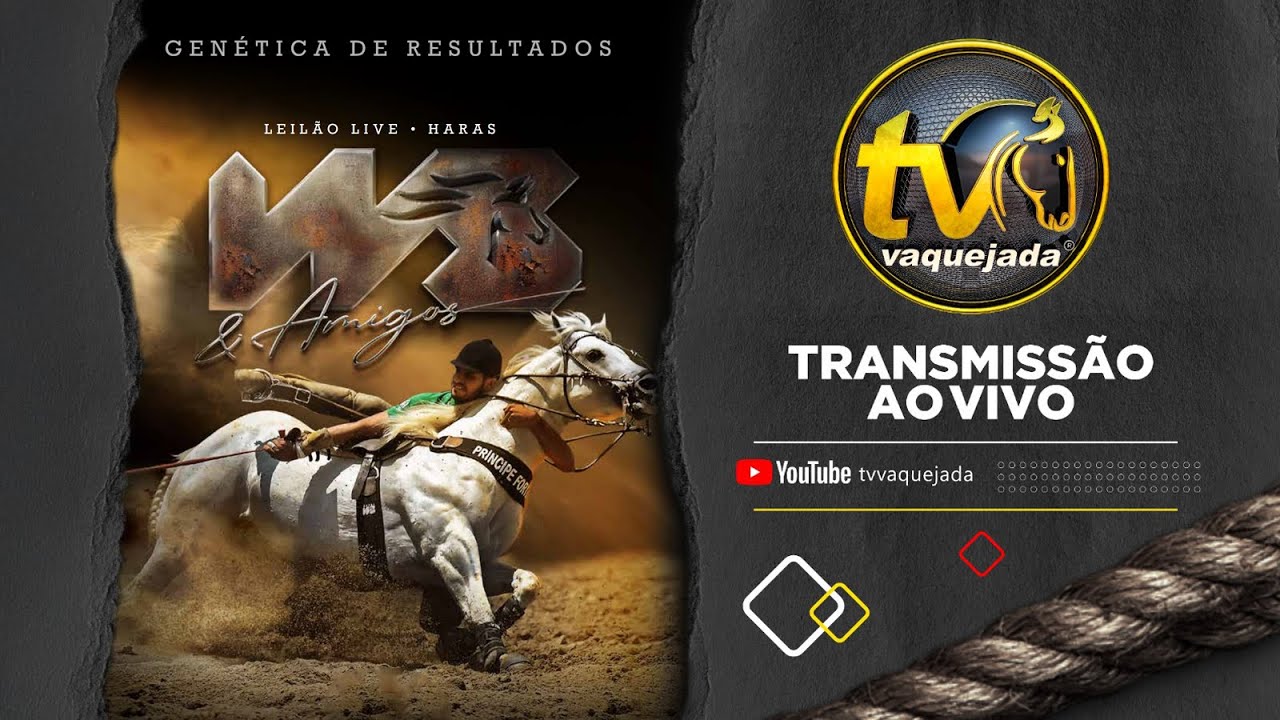 LEILÃO HARAS WS E AMIGOS 2025