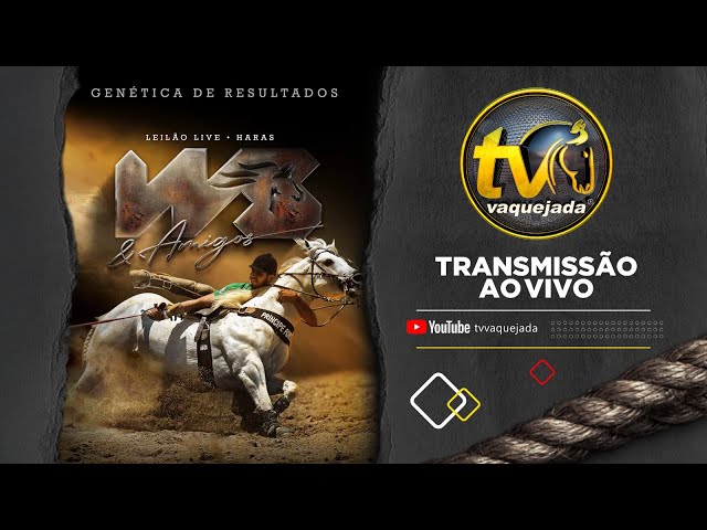 LEILÃO HARAS WS E AMIGOS 2025