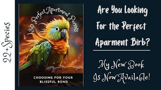Is There a GOOD Apartment Parrot How About 30! | #parrot_bliss #apartment #bird #pets