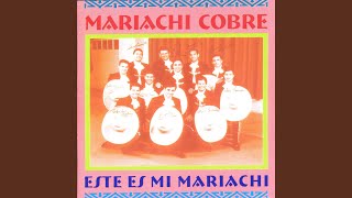 Video thumbnail of "Mariachi Cobre - Paloma Sin Nido"