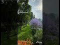 آية الكرسي واجمل ماسمعت بصوتي يا ريت يعجبكم 