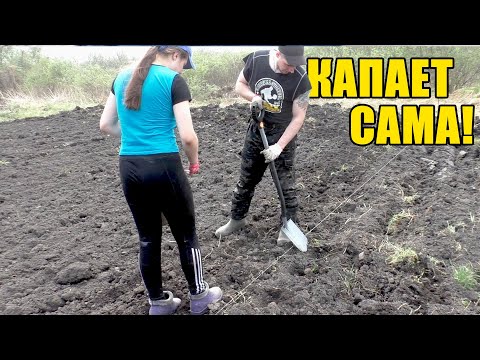 Сажаем картошку новой лопатой Fiskars. Это просто чудо!