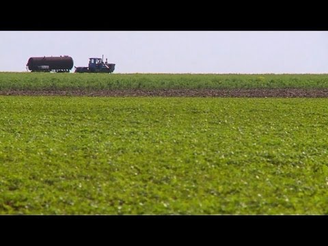 Video: Granero En Los Campos