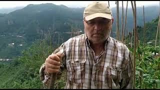 Bulancak Kovanlıklı Arıcı Harun Artul