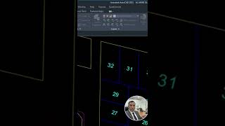 AutoCAD API: Parcel Tables