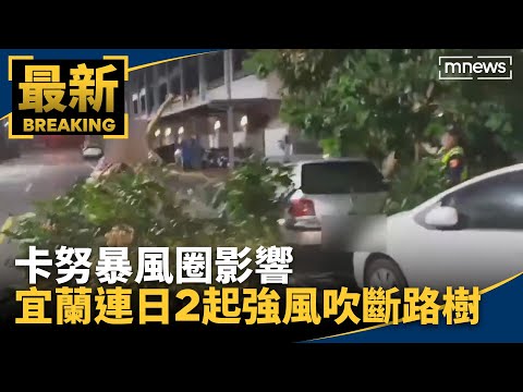 卡努暴風圈影響　宜蘭連日2起強風吹斷路樹｜#鏡新聞