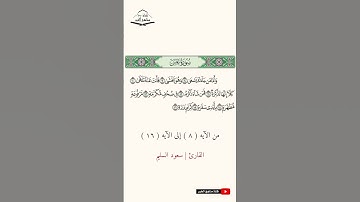 سورة عبس - من الآيه (8) إلى (16) القارئ سعود السليم  1444 هـ - 2023 م