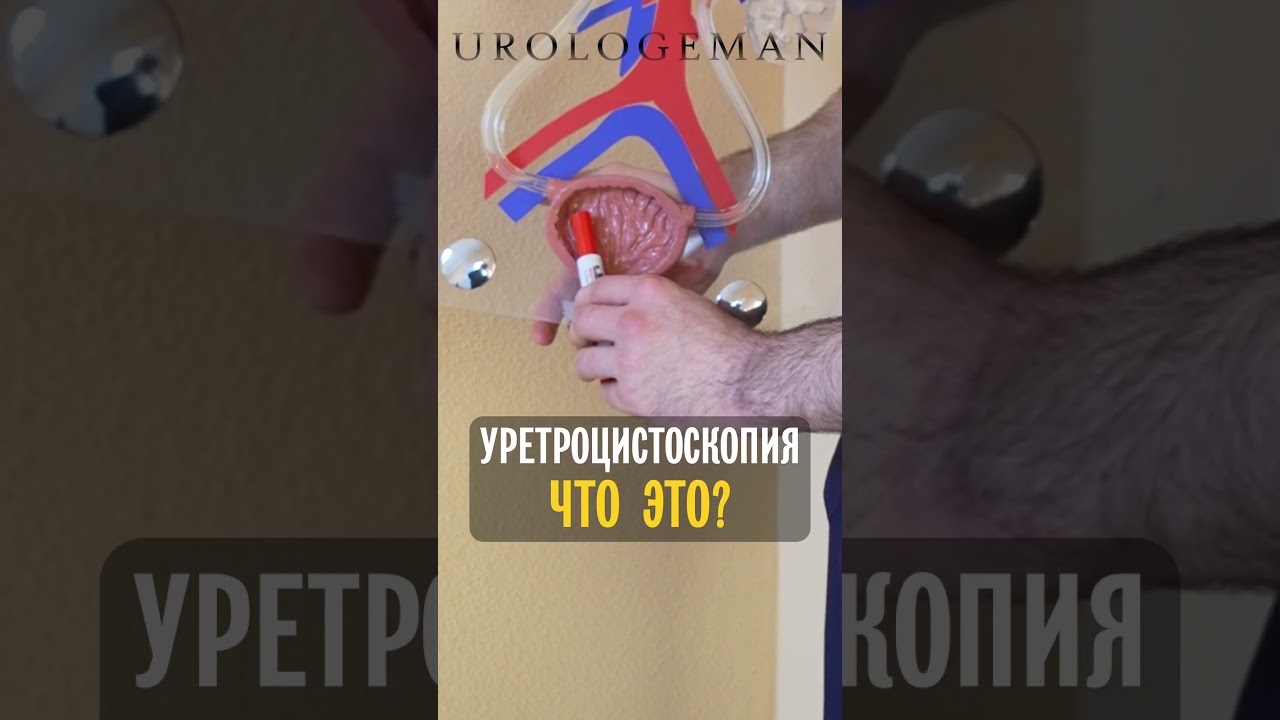 Уретроцистоскопия что это?