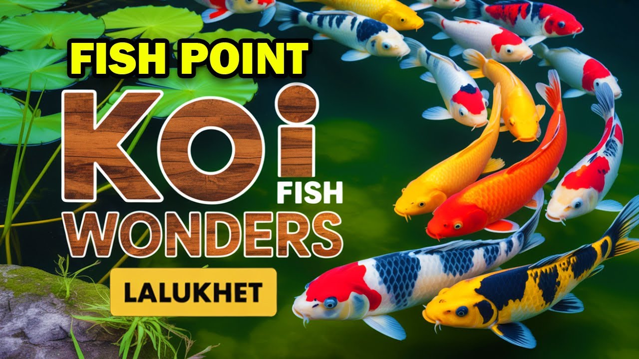 Inside Lalukhet FISH POINT SHOP | Exotic Goldfish, KOI & Fresh Aquarium Plants 2025
