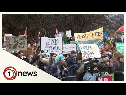 Hundreds gather for climates strikes across nz