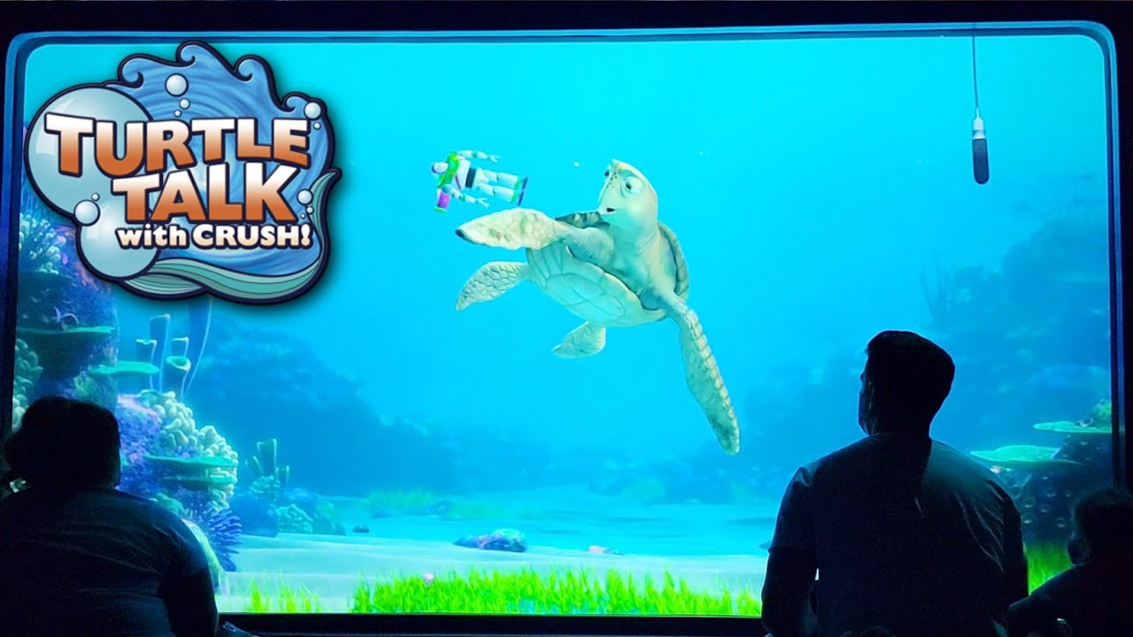 Turtle Talk with Crush | Disney California Adventure POV