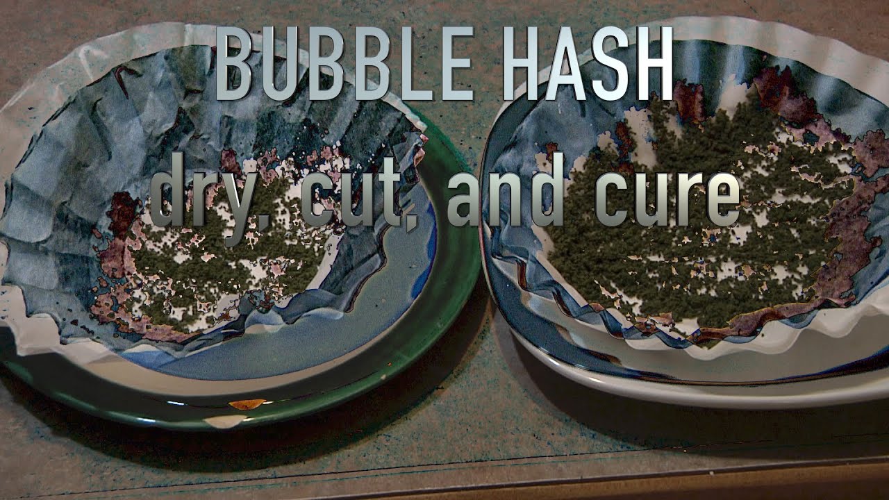 How to Dry, Cut, and Cure Bubble Hash YouTube