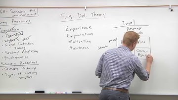 2015 MCAT Psychology (5) - Signal Detection Theory