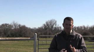 Lecture 12 Part 1- Supplementation