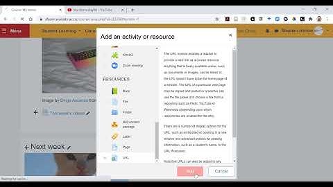 Allow Students to add Videos to your YouTube Playlist