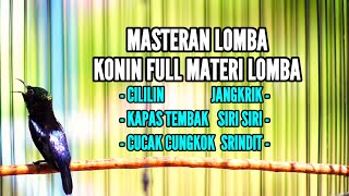 MASTERAN KOLIBRI NINJA FULL TEMBAKAN CILILIN KAPAS TEMBAK CUCAK CUNGKOK JANGKRIK 100% MEWAH