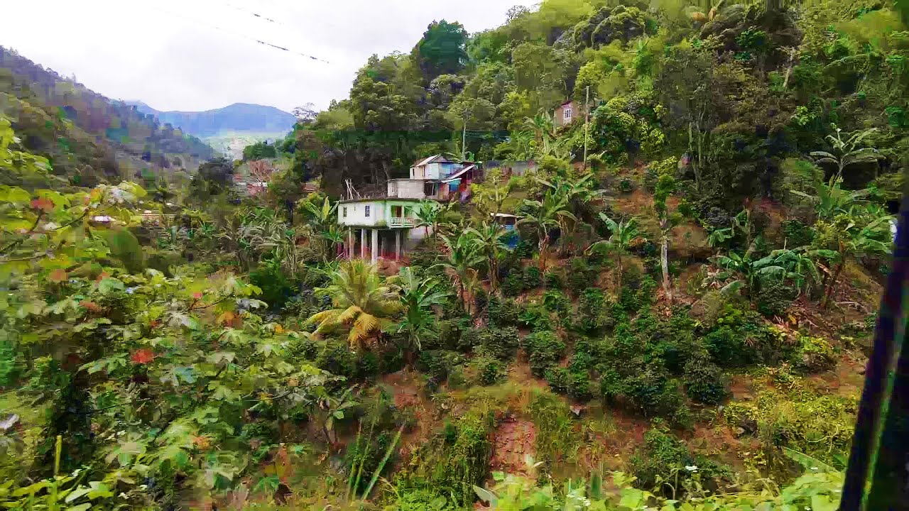 Blue Mountain Cycling Jamaica, May 2022