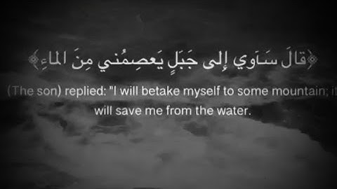 تلاوه هادئة سبحان من رزقه هذا الصوت 😪🖤.