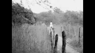 Vaqueiro A Cavalo Em Girau Do Ponciano Alagoas Brasil