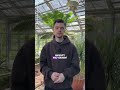 IDW S6 Gutachten | ganzes Video auf meinem Profil✅ #sanierung #idws6 #sanierungsgutachten