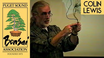 How to Use the Slingshot Principle to Anchor Wire in Bonsai - Colin Lewis Demo Highlight - Nov 2000