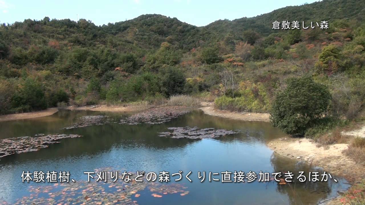倉敷美しい森 Youtube