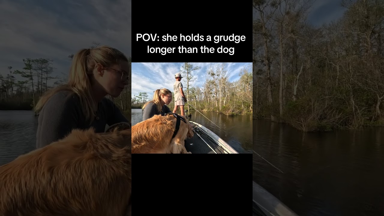 Did I yell tho? 😂 