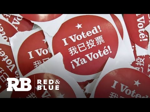 Asian Americans emerge as Georgia's fastest-growing voting bloc.