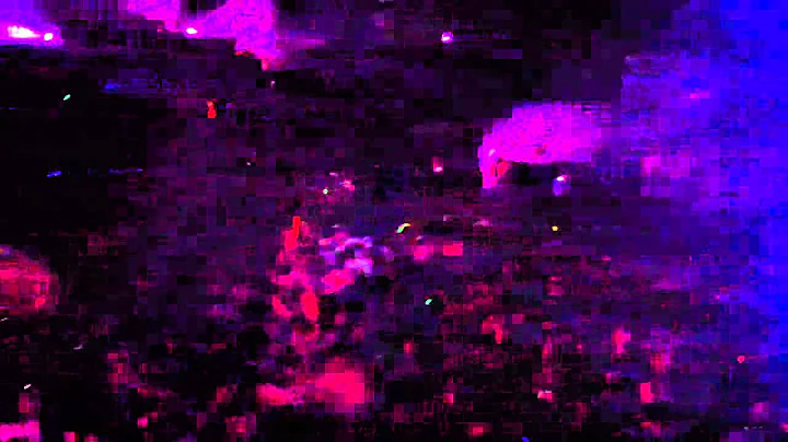 Dr. P Shambhala 2011