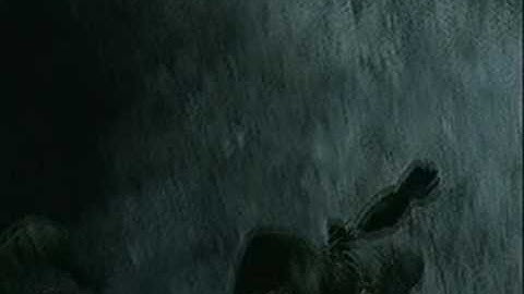 CoD4 Machinima Short