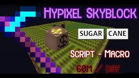 Sugarcane Macro | 2,4mil XP/hr & 7mil/hr | Hypixel Skyblock | Pizza client