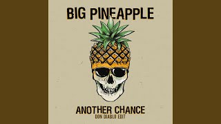 Video thumbnail of "Big Pineapple - Another Chance (Don Diablo Edit)"